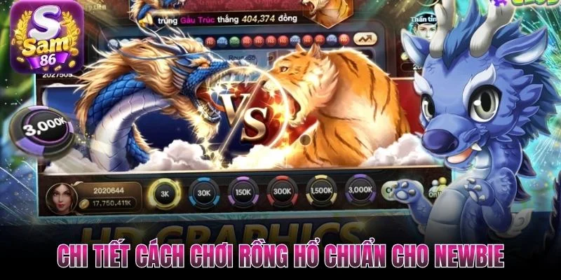 Chi tiết cách chơi Rồng Hổ chuẩn cho newbie