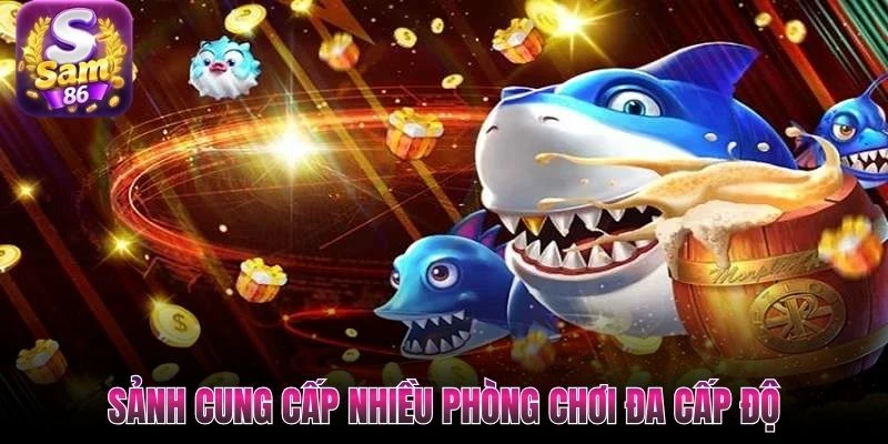 Sảnh cung cấp nhiều phòng chơi đa cấp độ Sảnh cung cấp nhiều phòng chơi đa cấp độ