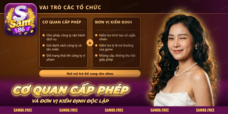 Hai thẻ cạnh nhau nêu việc của cơ quan cấp phép và đơn vị kiểm định
