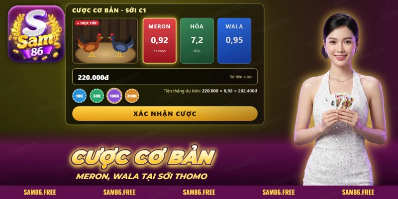 Cược cơ bản sới C1 với cửa Meron, Hòa, Wala và nút xác nhận cược