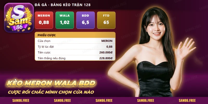 Kèo đá gà Meron Wala BDD SAM86: bảng bốn cửa và phiếu cược