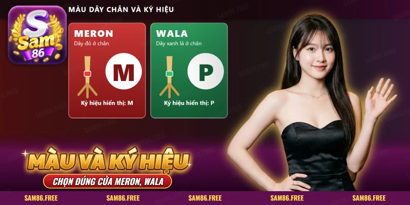 Hai thẻ đỏ và xanh lá vẽ dây chân gà cùng chữ M, P