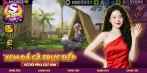 Xem đá gà trực tiếp SAM86 trên điện thoại, màn game sới gà ngoài trời